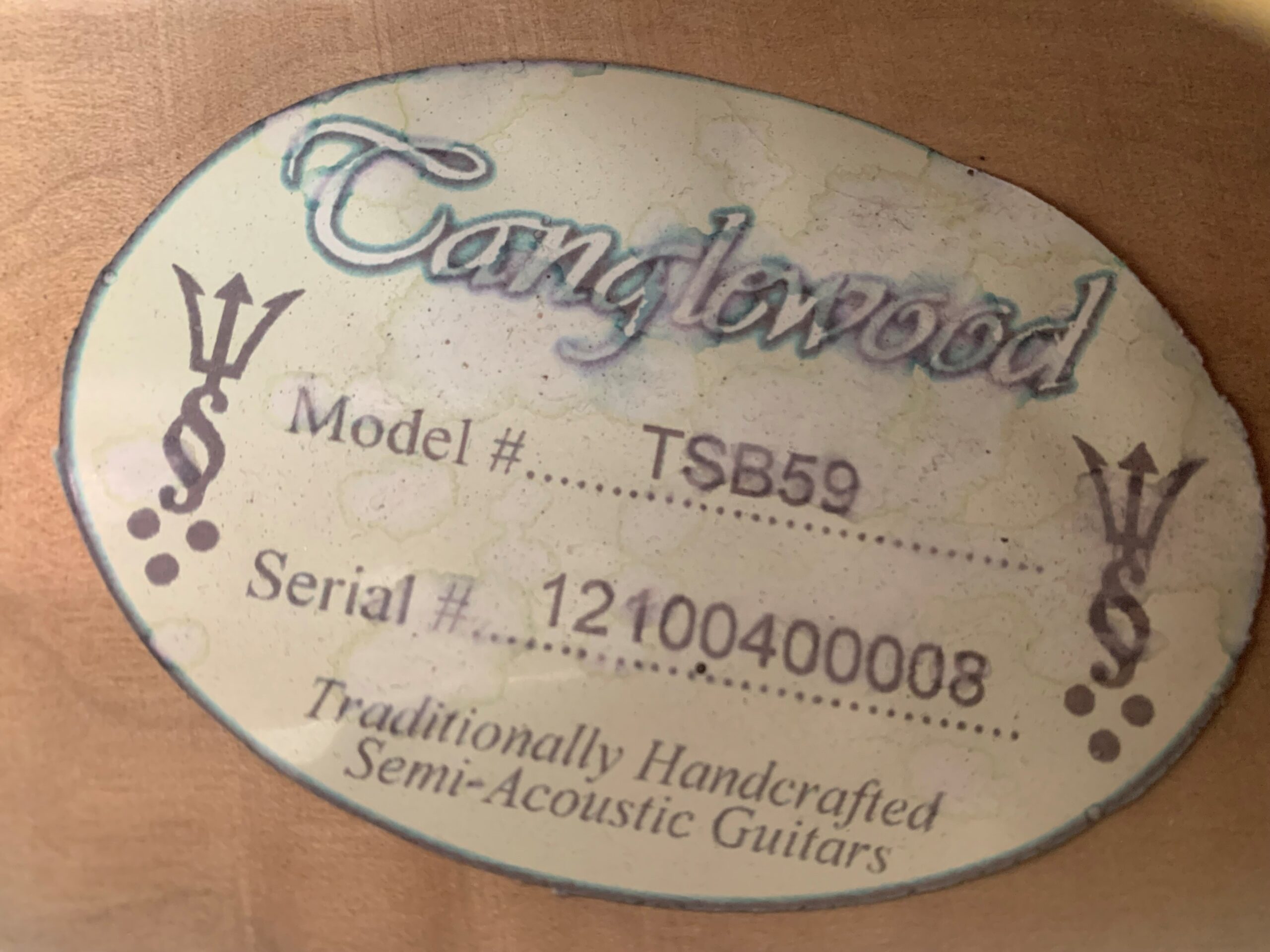 Tanglewood TSB-59 Semi-Hollowbody Black - Image 3