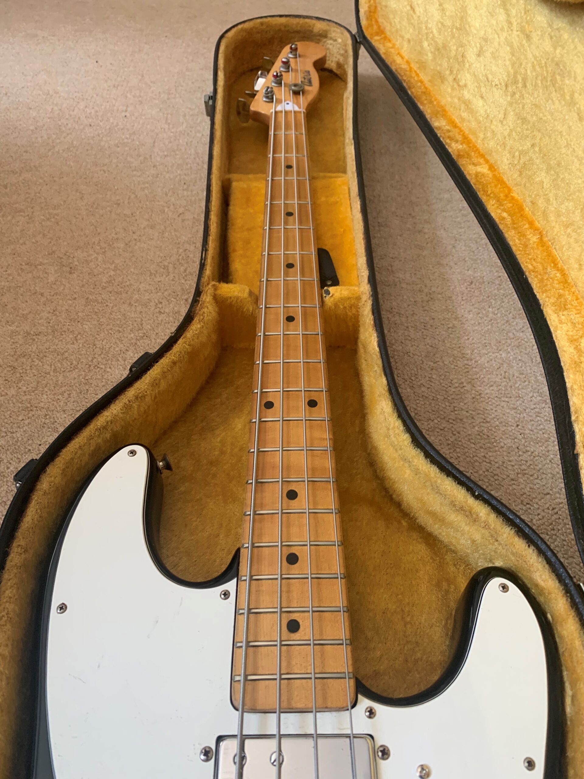 Antoria Telecaster Bass 1975 Japan - Image 3