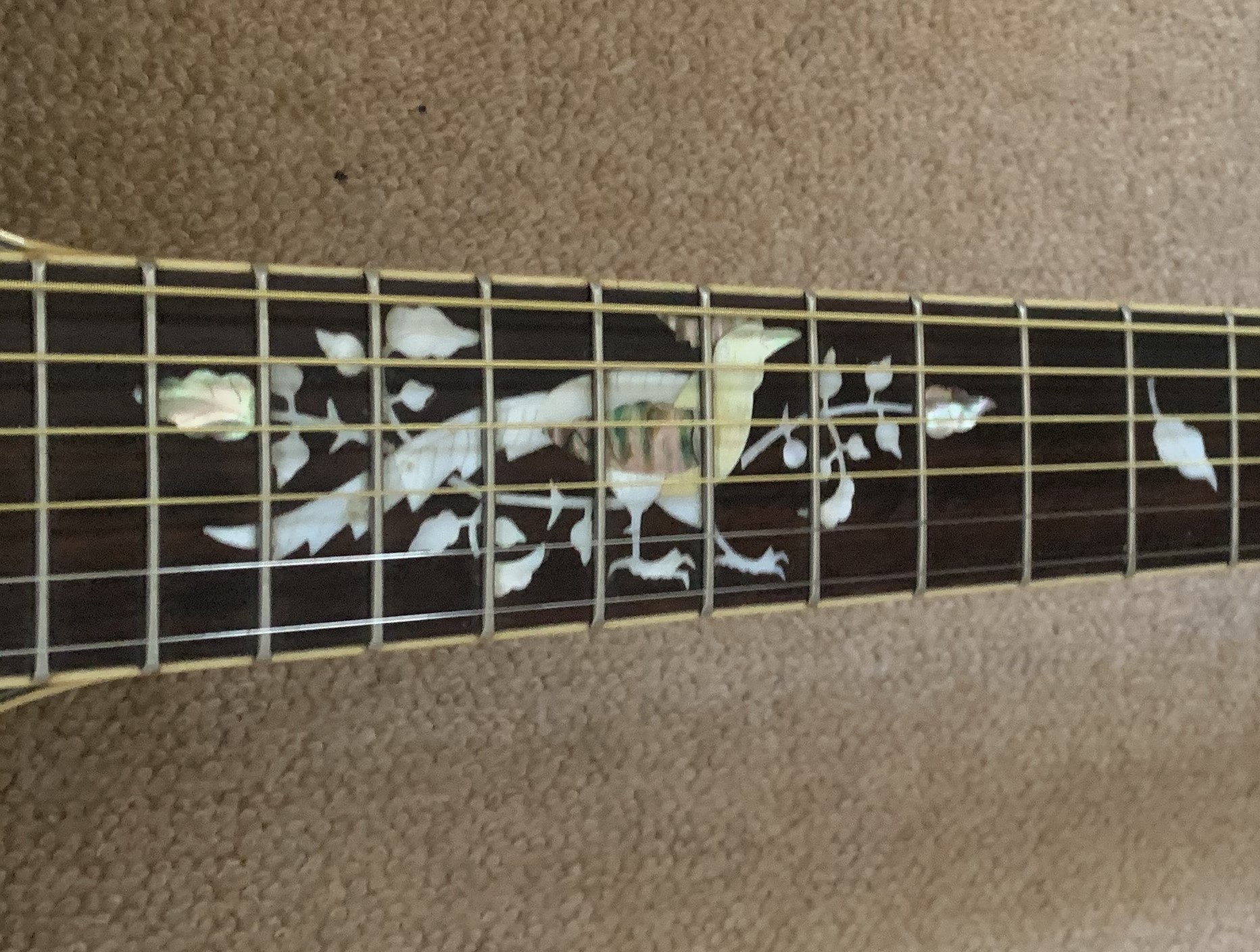 Shelby Electro Acoustic Guitar Hidden Sound Holes Circa 1960s USA - Image 5
