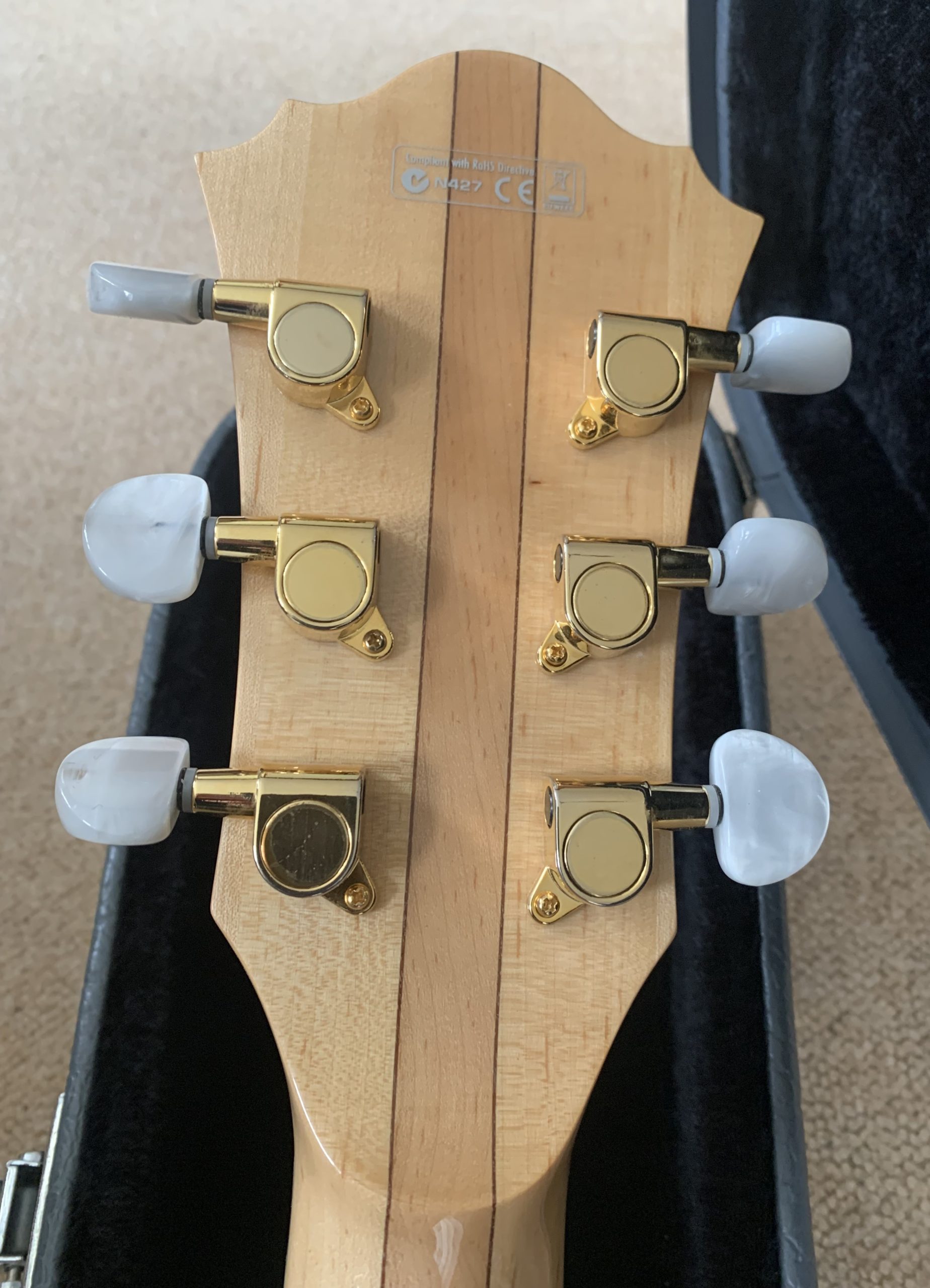 Ibanez AF105 Artcore Custom - Rock Stock Stores