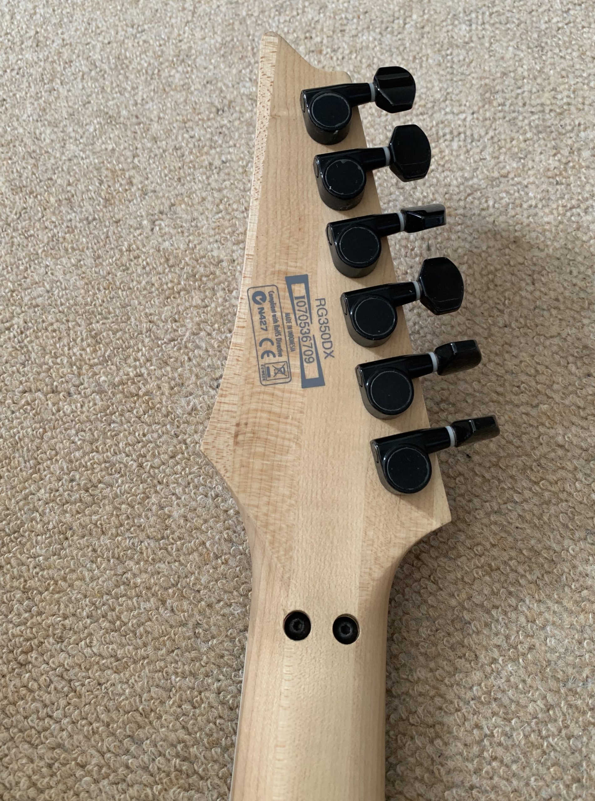 Ibanez RG350DX, White - Image 11