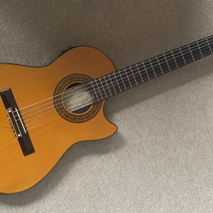 Hohner Professional TWP Classic-N Guitar: Thin-Body Nylon Acoustic-Electric