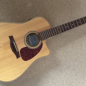 Seagull Performer CW  Flame Maple Canada