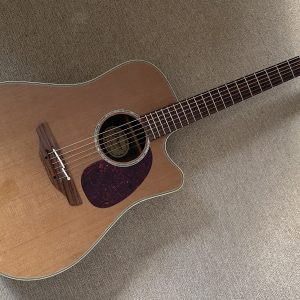 Takamine Japan EAN15C electro-acoustic guitar