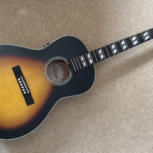 Vintage V180VS B with Fishman Electronics