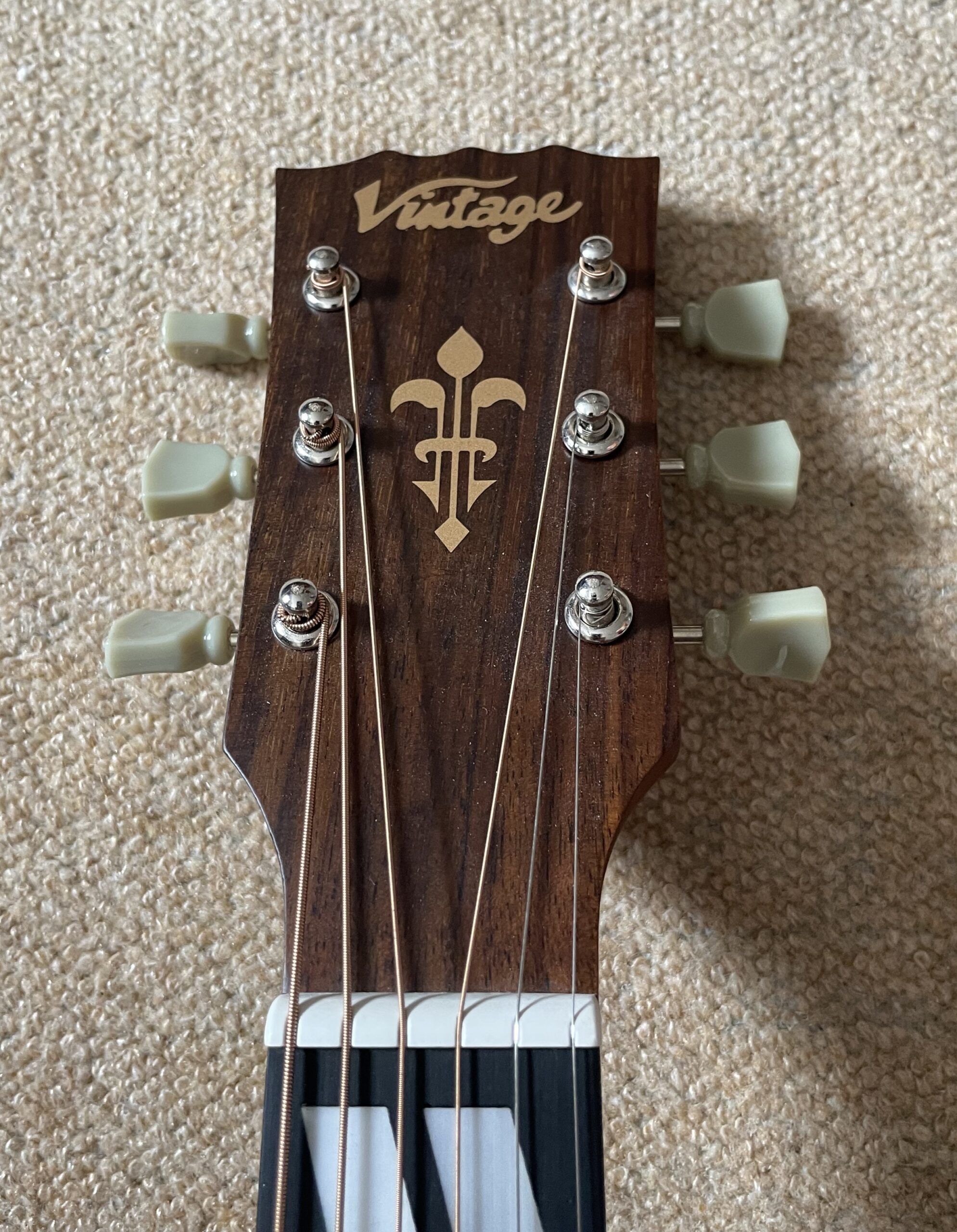 Vintage V180VS B with Fishman Electronics - Image 6