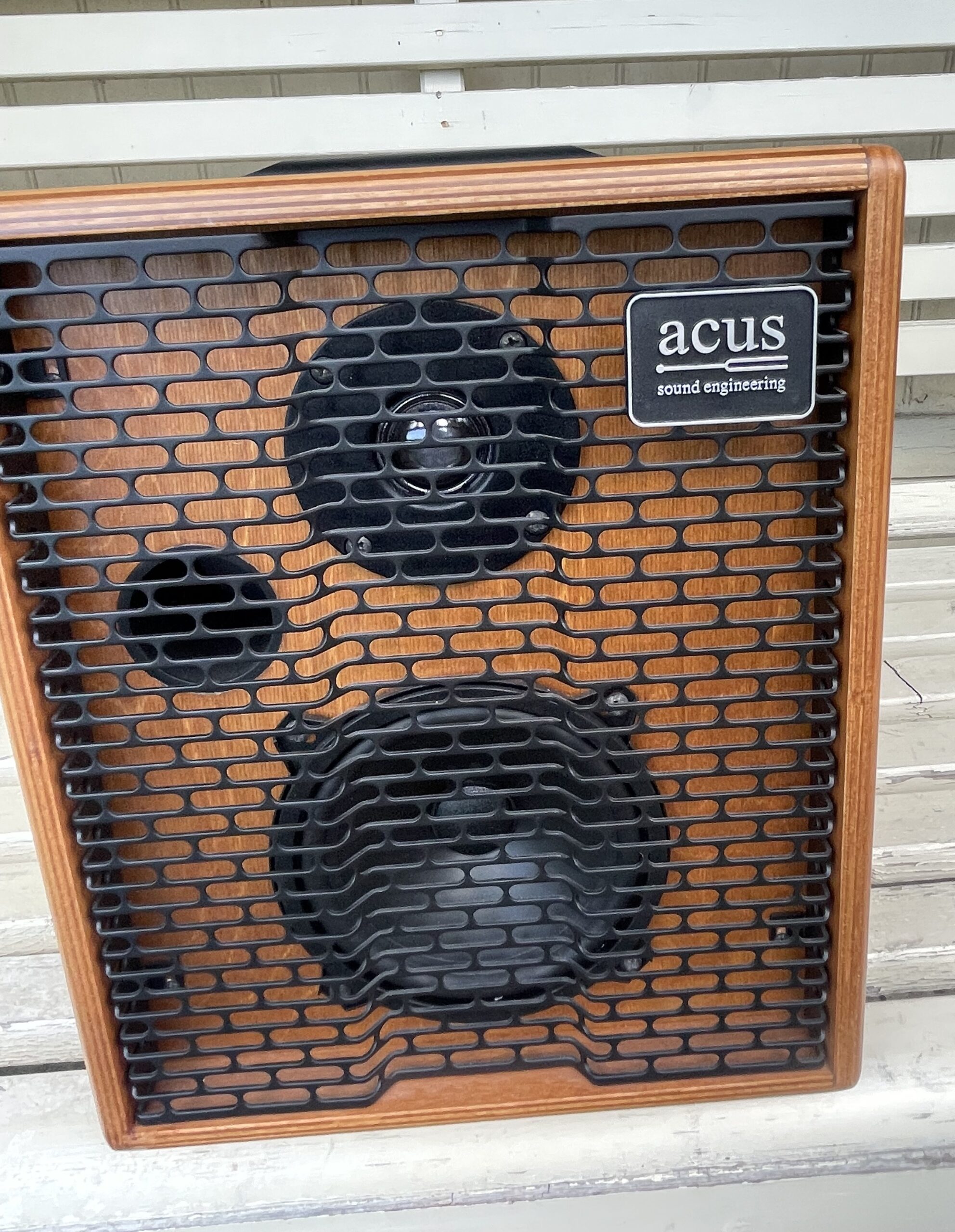 Acus One-5T Boutique Acoustic Guitar Amplifier, Wood